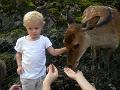 Tierpark Goldau_01